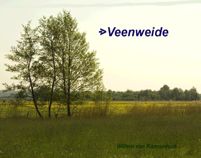 VeenweideIMGP4319copy